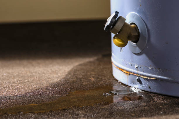 Best Commercial water damage restoration  in Lake Crystal, MN