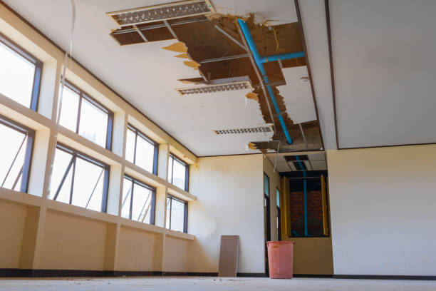 Best Residential water damage restoration  in Lake Crystal, MN