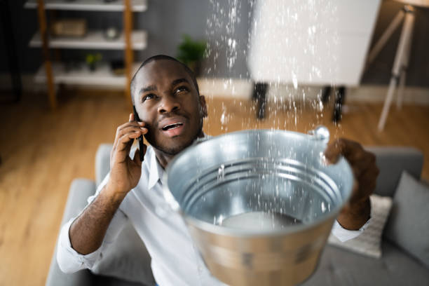 Best Water damage restoration process  in Lake Crystal, MN