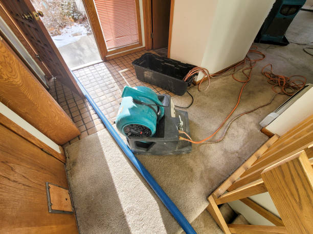 Best Residential water damage restoration  in Lake Crystal, MN