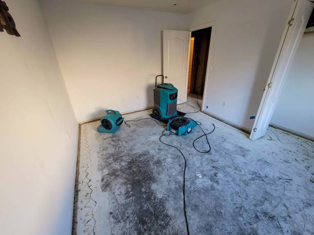 Lake Crystal, MN Water damage restoration Company