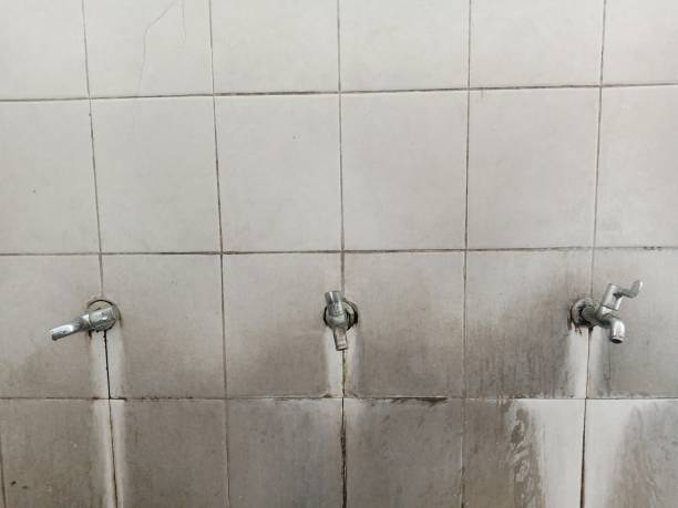  Lake Crystal, MN Water damage restoration Pros