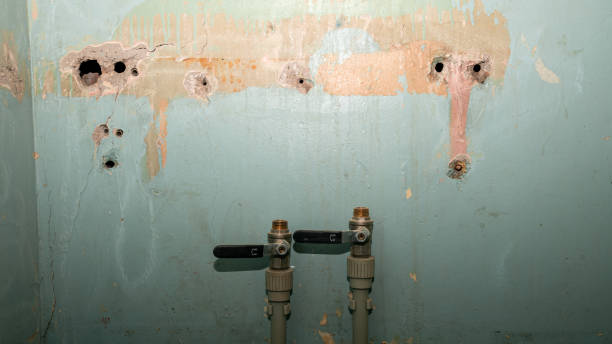 Best Water damage restoration near me  in Lake Crystal, MN
