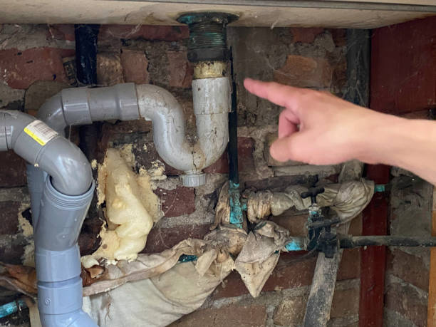 Best 24/7 water damage repair  in Lake Crystal, MN