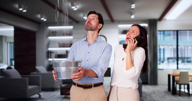 Best Water damage restoration mold remediation  in Lake Crystal, MN
