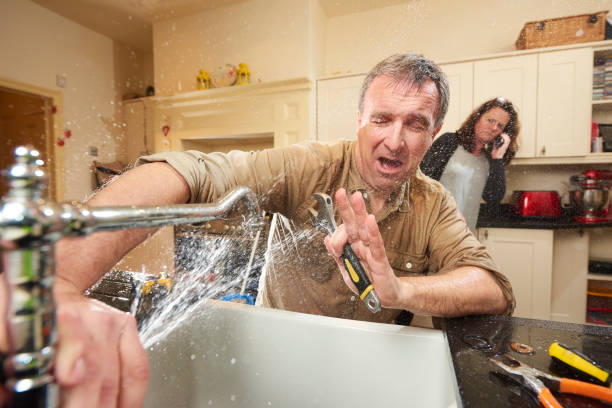 Best Water damage mitigation services  in Lake Crystal, MN